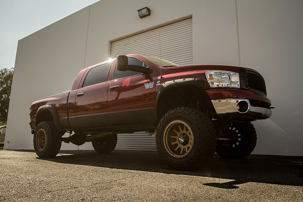 MR605_Bronze_Dodge_1000