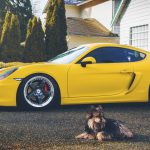 2014 Porsche 981 Cayman