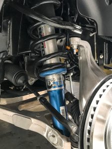 STOCK_Raptor_RPG_Rotifom-6