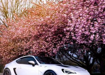 2015 Scion FRS Vivid Racing modifications