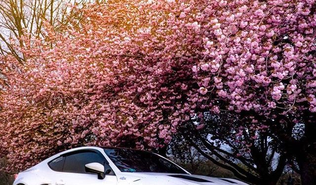 2015 Scion FRS Vivid Racing modifications