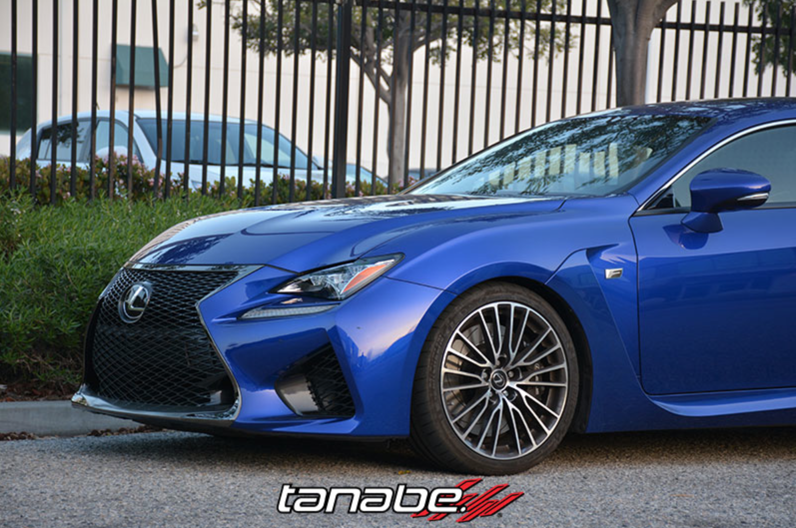 Lexus, Tanabe, springs, lowering, coilovers, OEM, NF210, RC-F