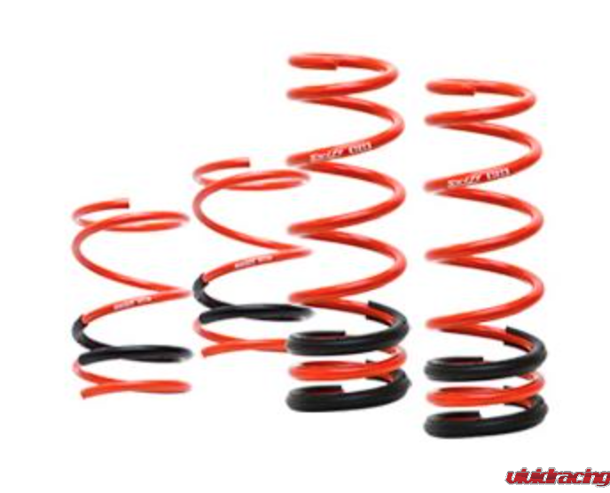 Lamborghini Gallardo, LP560, Swift springs, suspension, lowering kit