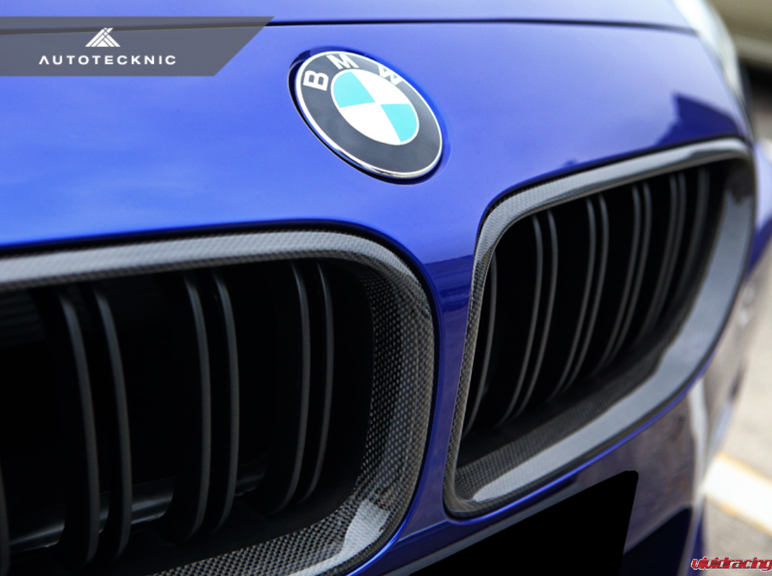 AutoTecknic, carbon fiber, dual-slat front grille, BMW, M6, F06, F12, F13