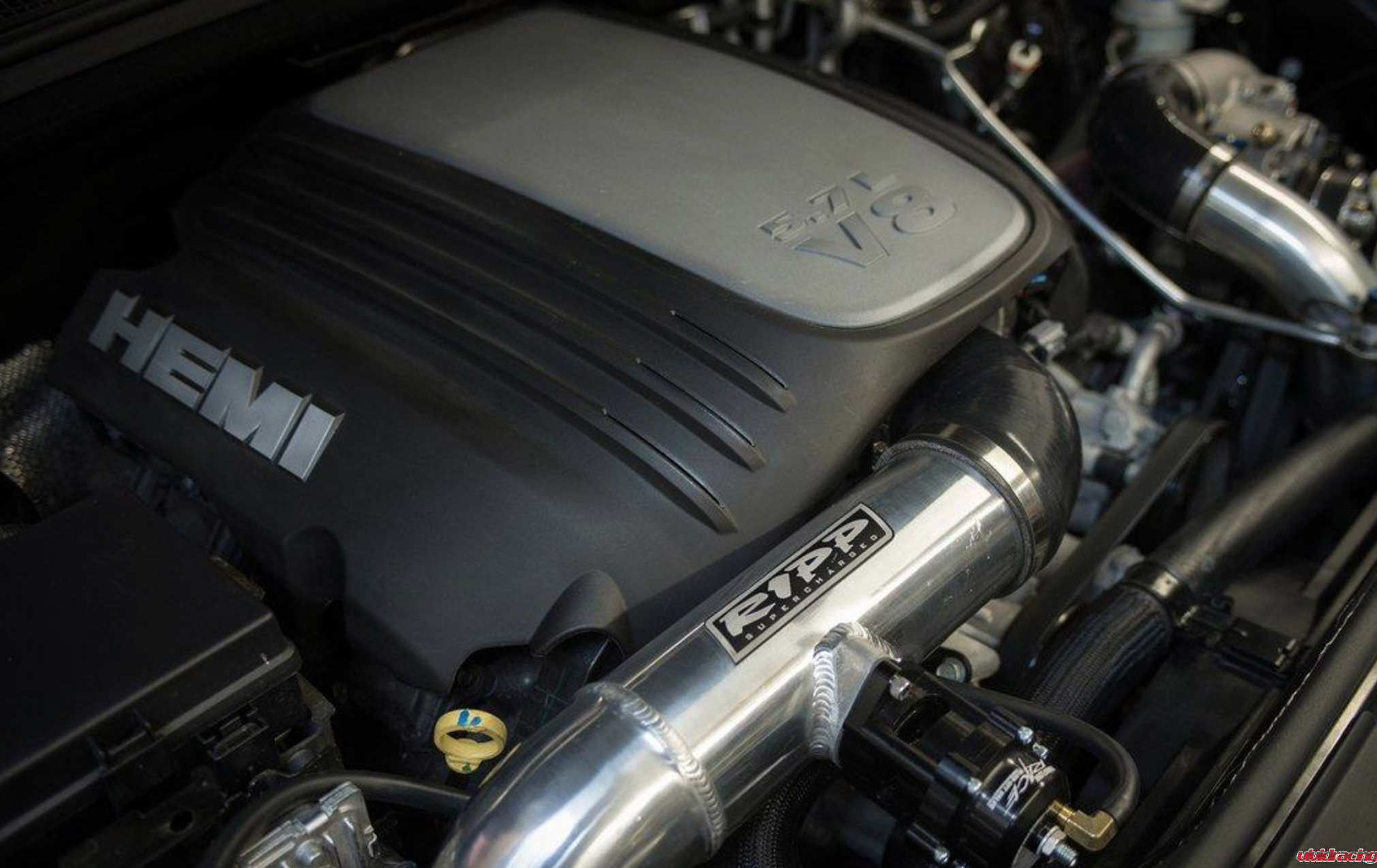 Vivid Racing Now Carries Additional Inventory from RIPP Superchargers