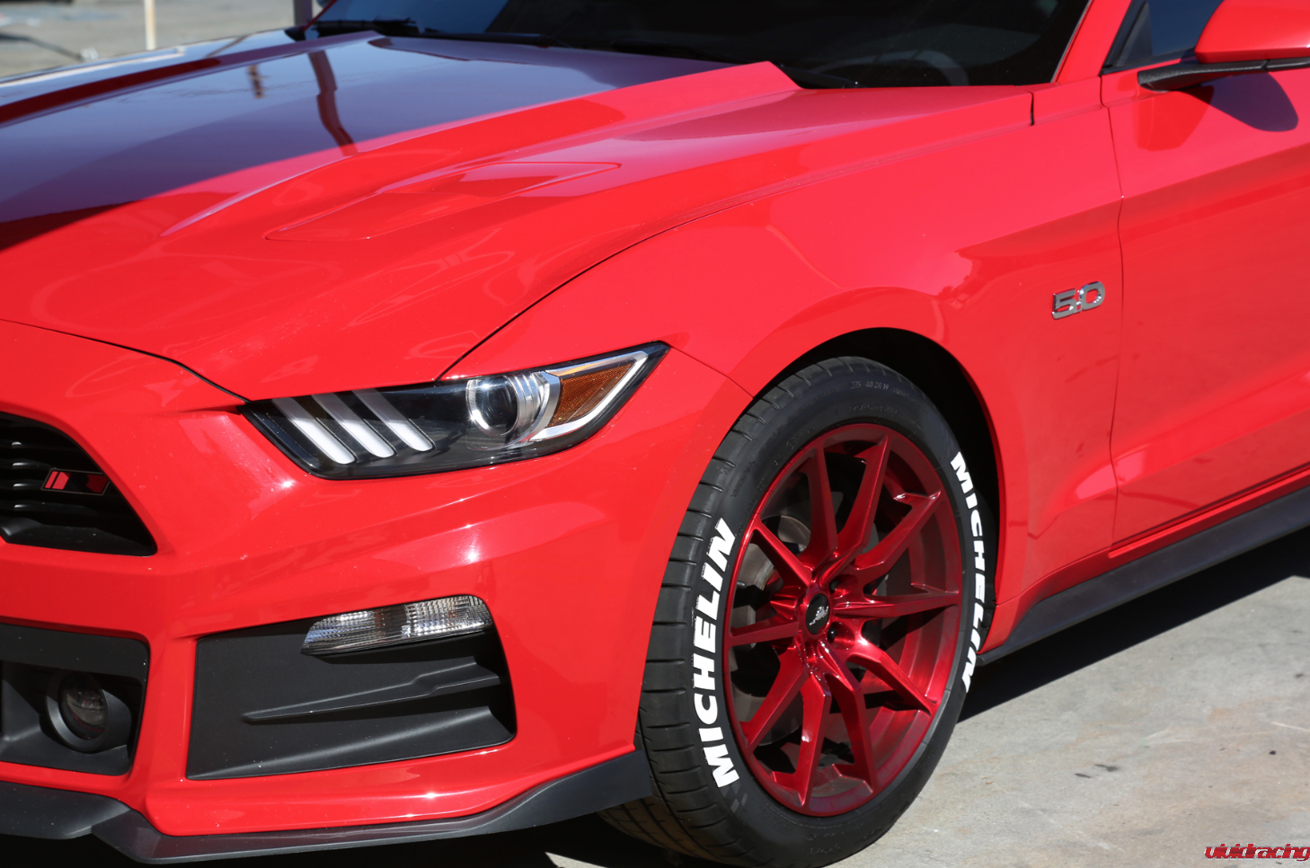 Vivid Racing Carries a Wide Array of Tire Stickers for Cars, Trucks and Bikes