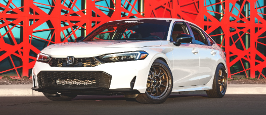 Happy Thanksgiving, Vivid Racing Fans!