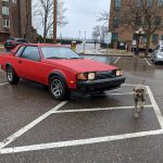 Toyota-Celica-1984-d65e2195-ade4-4328-af1c-104d5132d887-1718385145.jpg 1984 39 27826