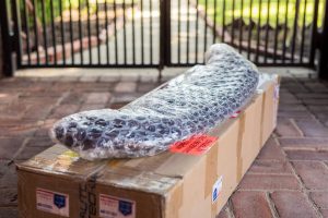 dsc_1898_33096390496_o