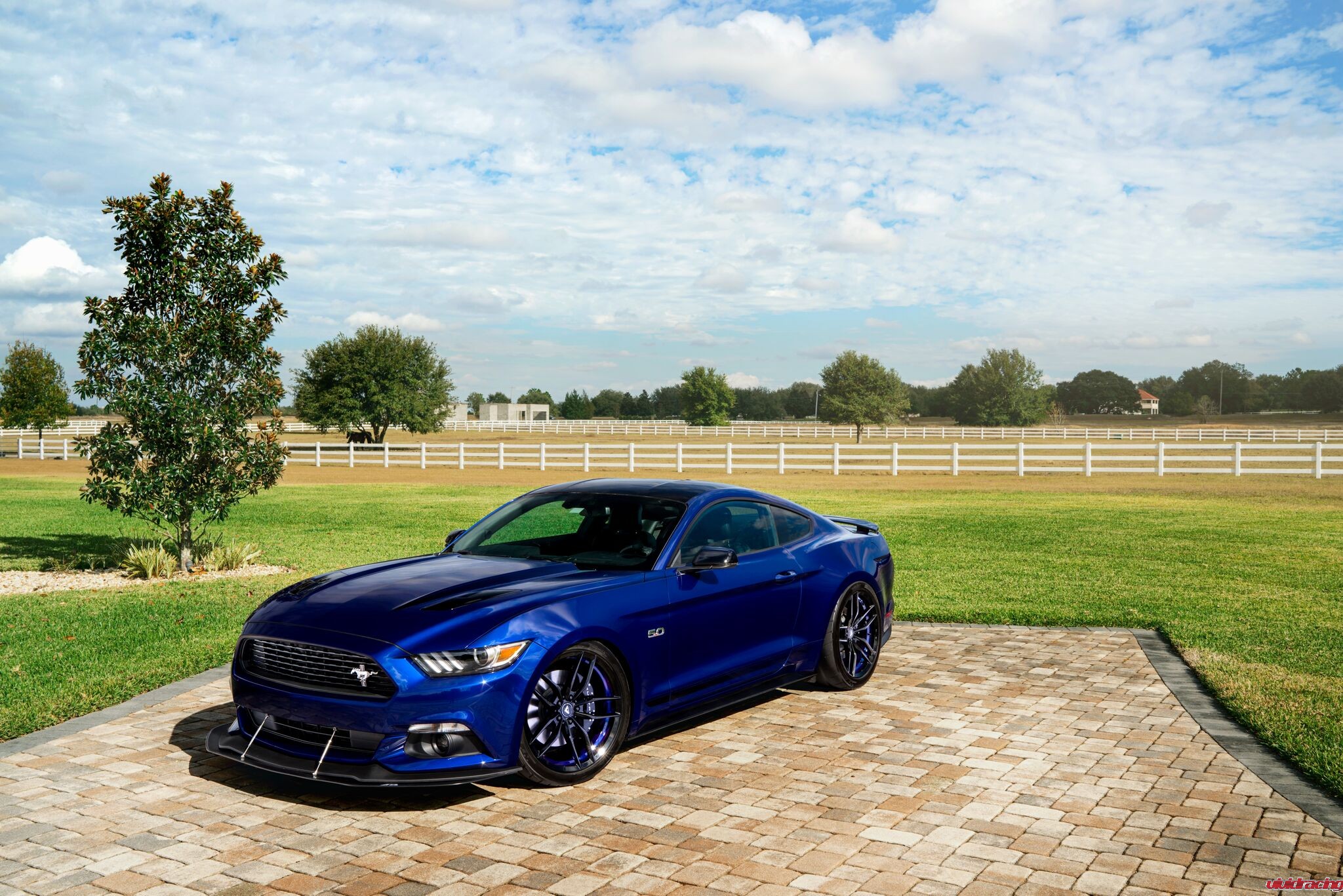 ford-mustang-gt---20-v-ff-105_31456659052_o