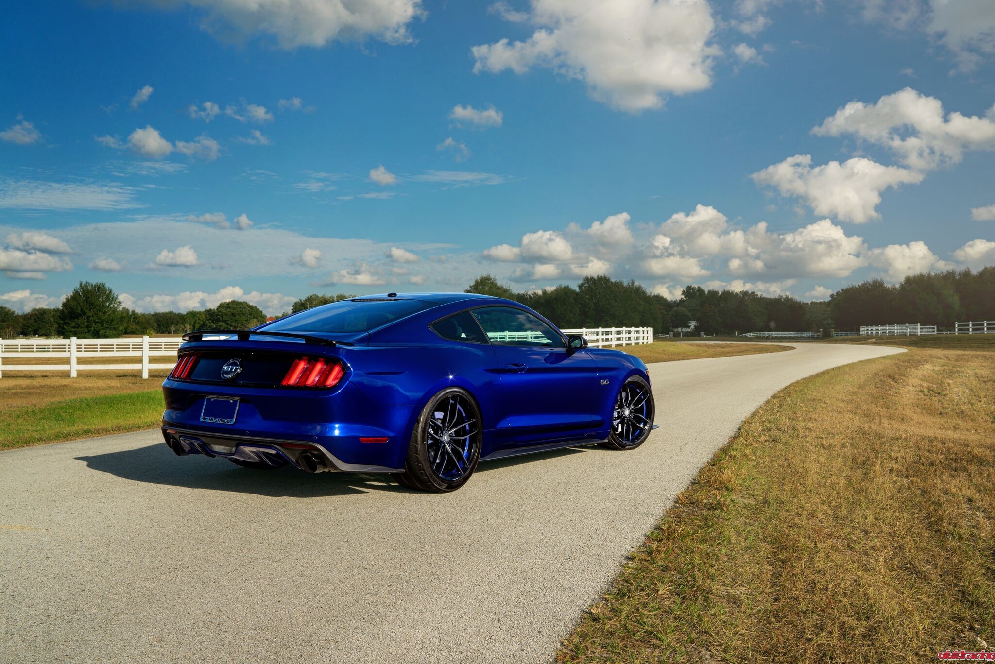 ford-mustang-gt---20-v-ff-105_31566163706_o