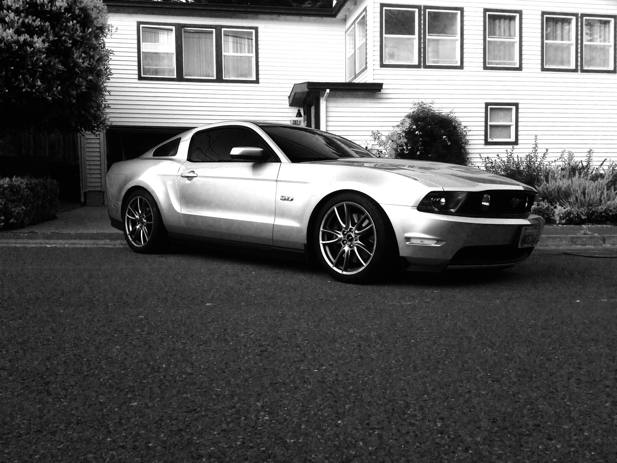 KW Equipped Ford Mustang GT 5.0L in Black and White