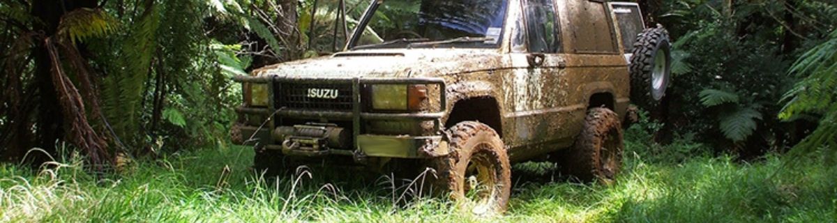 Narrow Swamper Banner