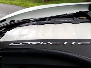 received_1854593171458316