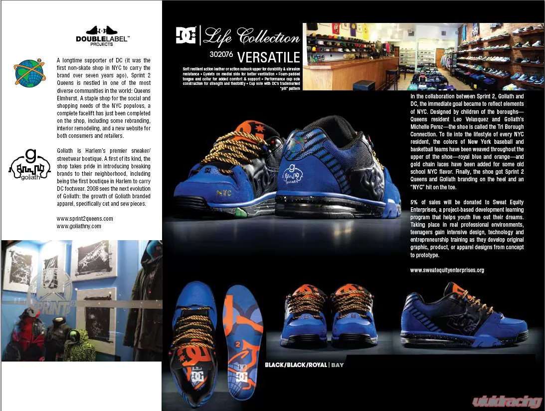DC Shoes Double Label Projects Versatile Shoe