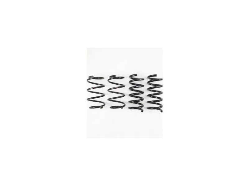 RS-R Ti2000 Down Suspension Lowering Springs Ford Mustang GT 2015+ - FO120D
