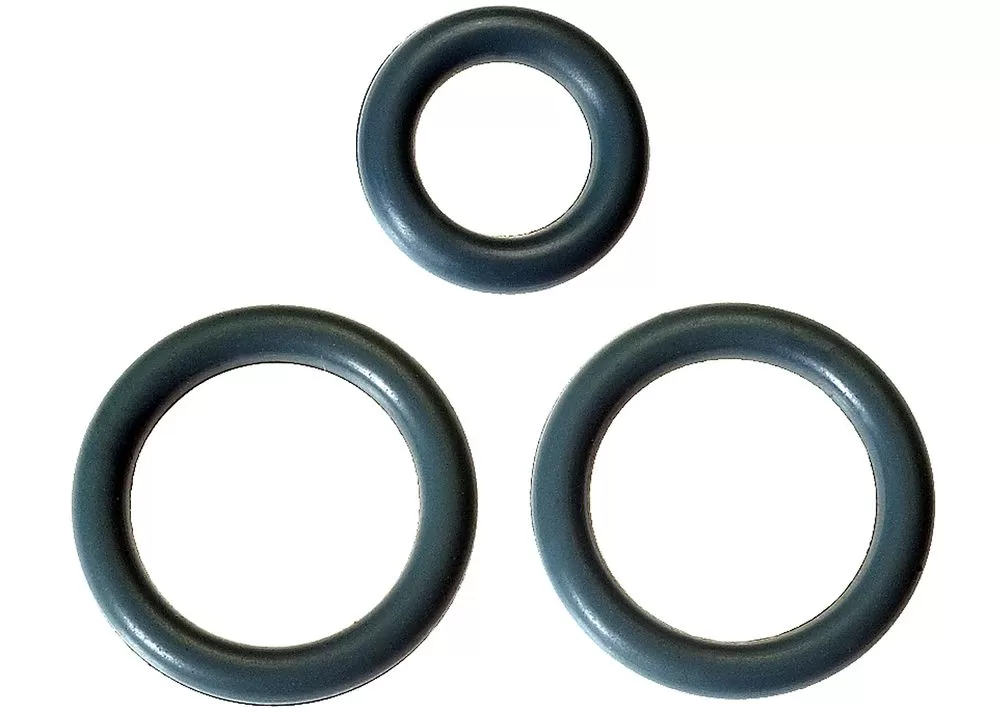 AC Delco Fuel Injection Fuel Rail O-Ring Kit with 3 O-Rings - 17113552