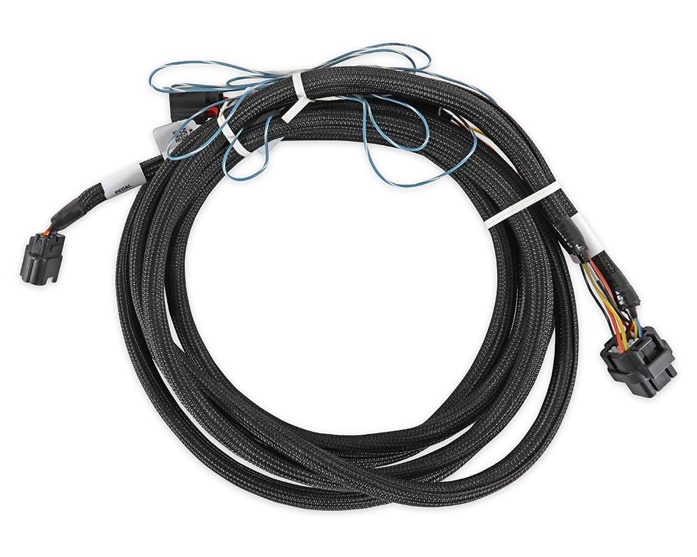 Holley EFI Drive By Wire Harness Ford 2018-2022 - 558-469