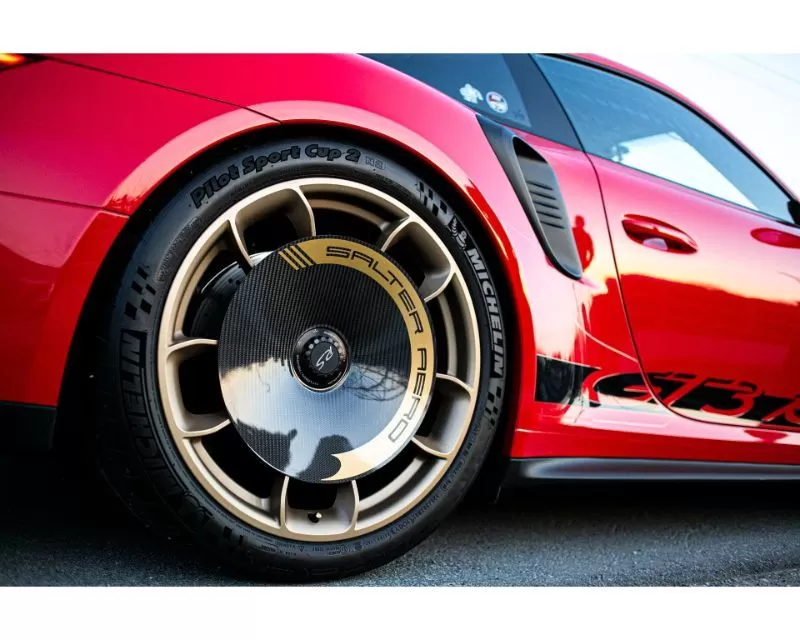 Salter Aero Carbon Fiber Aero Discs Porsche GT2 | GT3 RS 991.1 | 991.2 2016-2018 - SA012