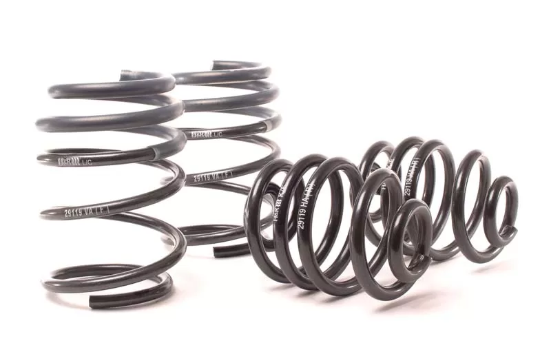 H&R Sport Springs BMW E85 Z4 M Coupe & Roaster 06-08 - 29119-1