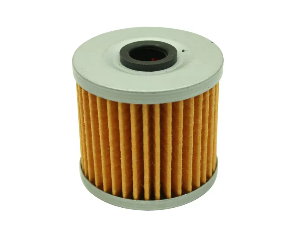 AEM Electronics High Volume Fuel Filter Element Replacement - 25-203