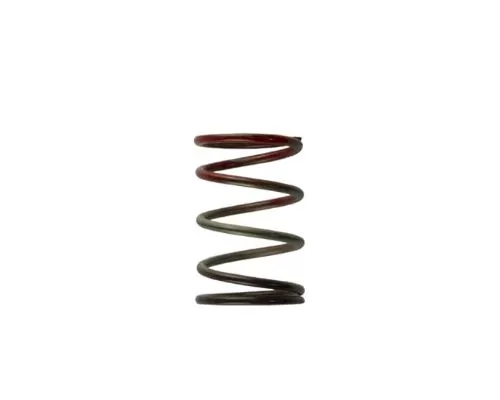 TurboSmart USA 2011 WG38/40/45 11PSI Middle Spring Brown/Red - TS-0505-2004