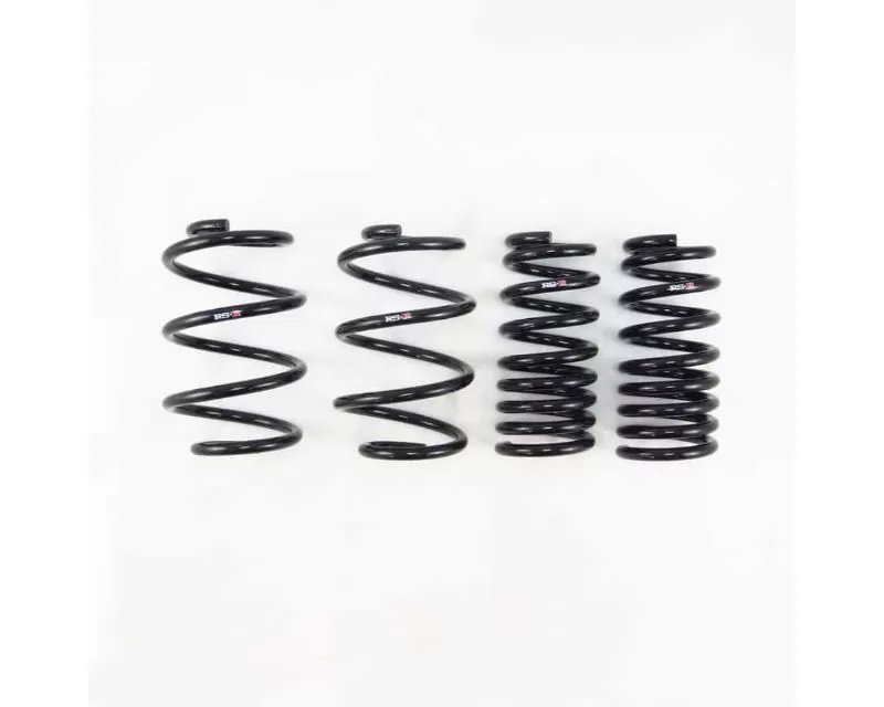 Rsr Down Sus Springs Chrysler Pacifica 17 - CHR300W