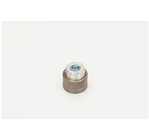 Canton Racing Fitting 1/2-Inch NPT Steel Bung with Plug Welding Required - 20-884