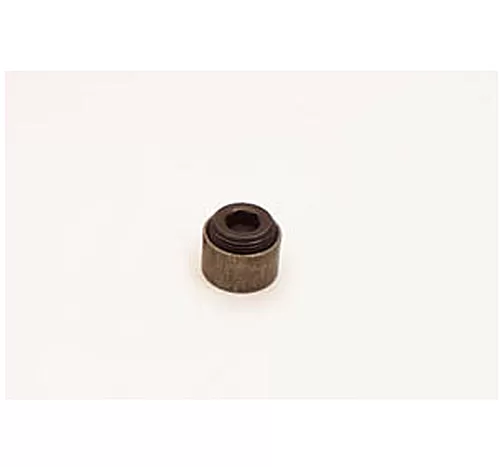 Canton Racing Fitting 1-Inch NPT Steel Bung with Plug Welding Required - 20-888