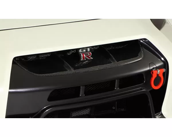 Varis Grill Cover Option for Varis Carbon Front Bumper Nissan GTR R35 09-16 - VANI-072