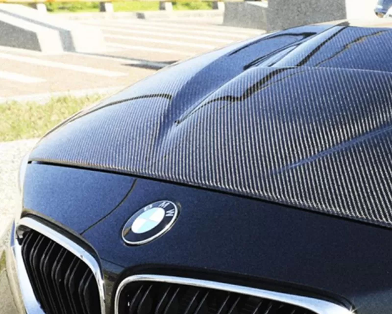 ARMASpeed Carbon Fiber Hood BMW M2 | 2-Series F2x 2014-2021 - 1CCAR01F22--