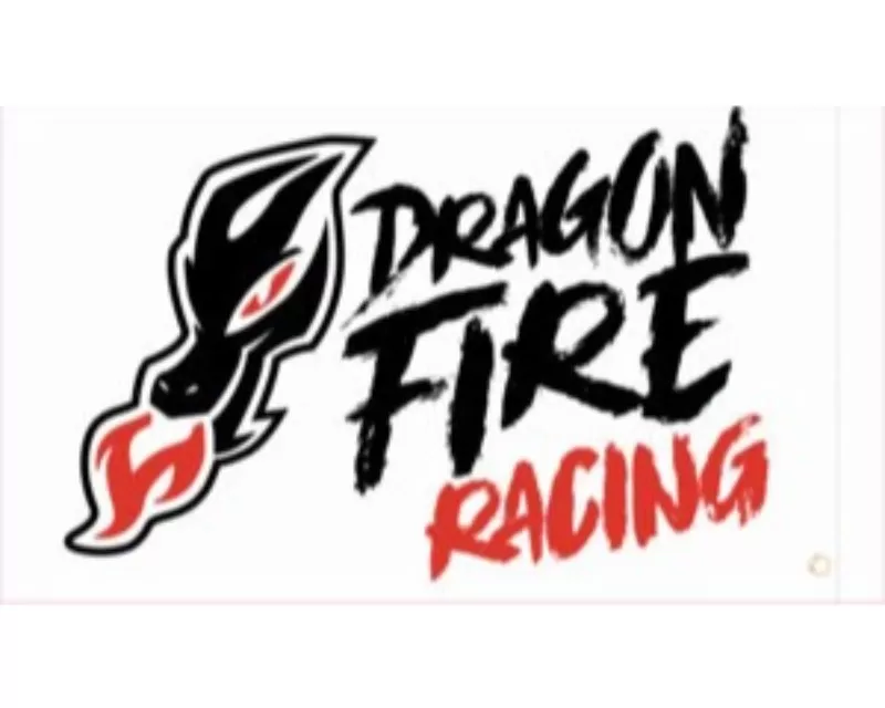 DragonFire 24x14" Double Sided Whip Flags - DFR White - 04-0118