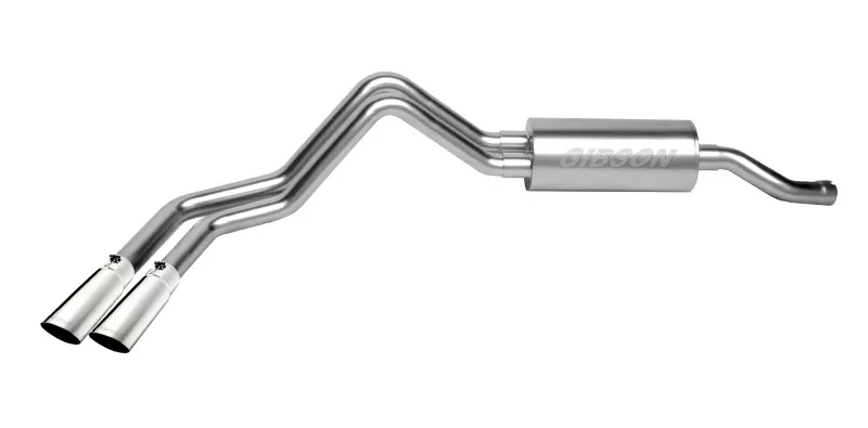 Gibson Performance Stainless Catback Dual Sport Exhaust System - 65300