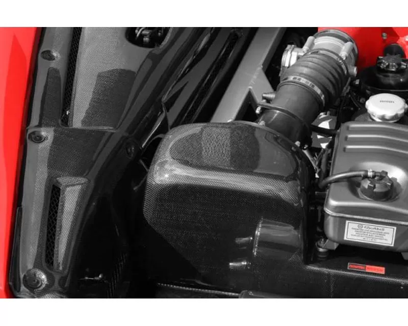 Novitec Carbon Airbox Ferrari F430 04-09 - F1 430 08