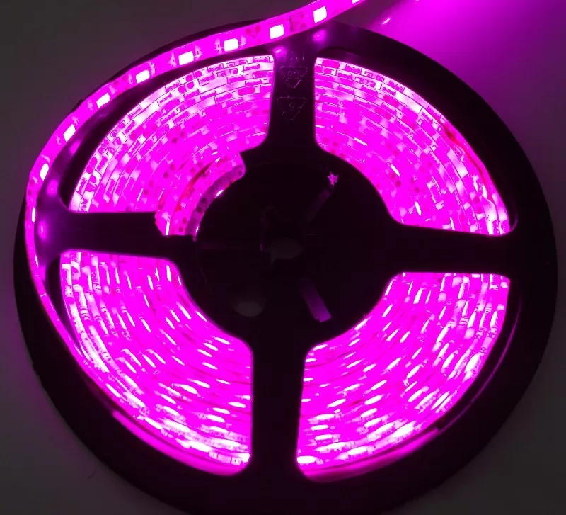 Race Sport Lighting Purple 3-Feet 3528 LED Strip - RS-3528-1MP