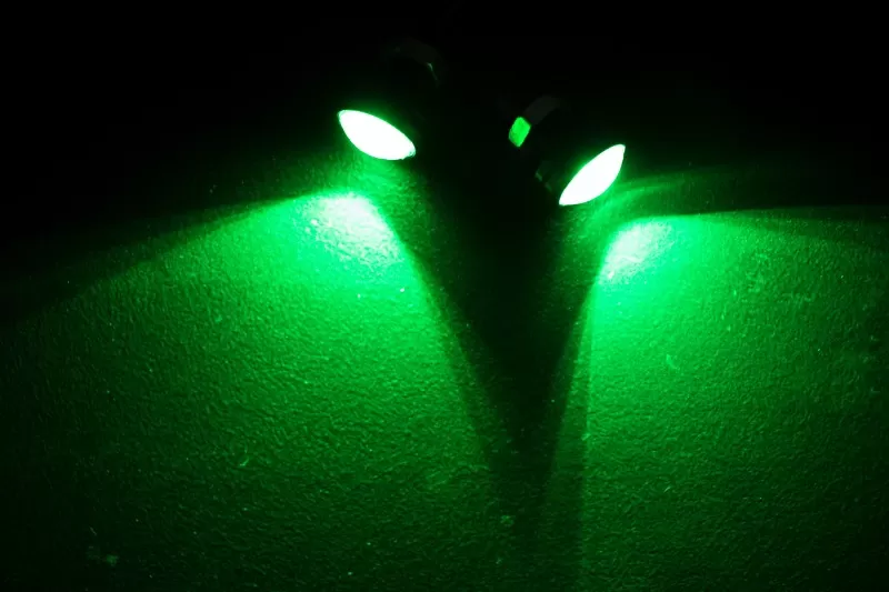 Race Sport Lighting Green Eagle Eye LED Custom Light - RS-EE-GREEN