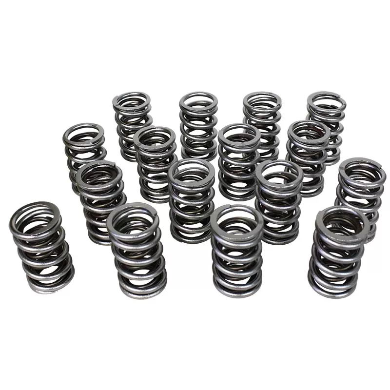 Howards Cams Electro Polished Pro - Alloy Dual Valve Springs; 1.640 98739 - 98739