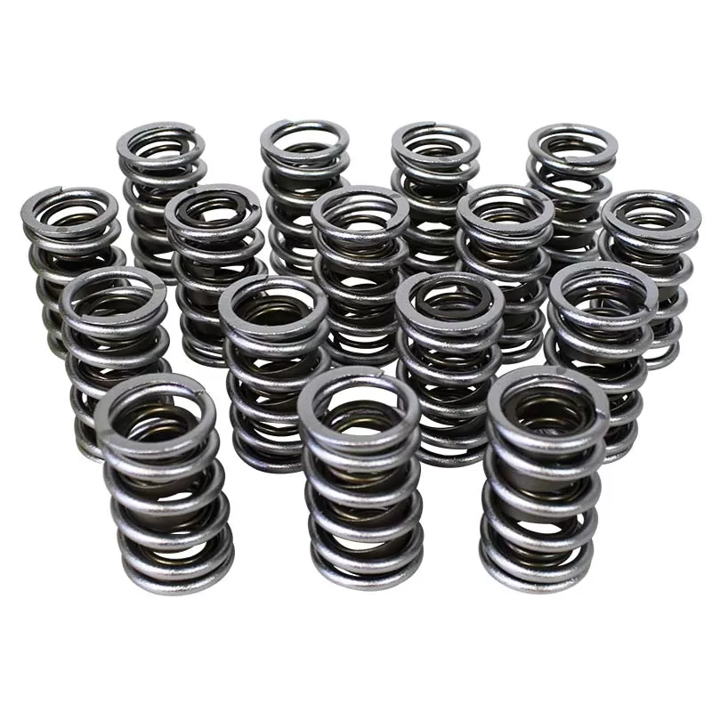 Howards Cams Electro Polished Pro - Alloy Dual with Damper Valve Springs; 1.625 98745 - 98745