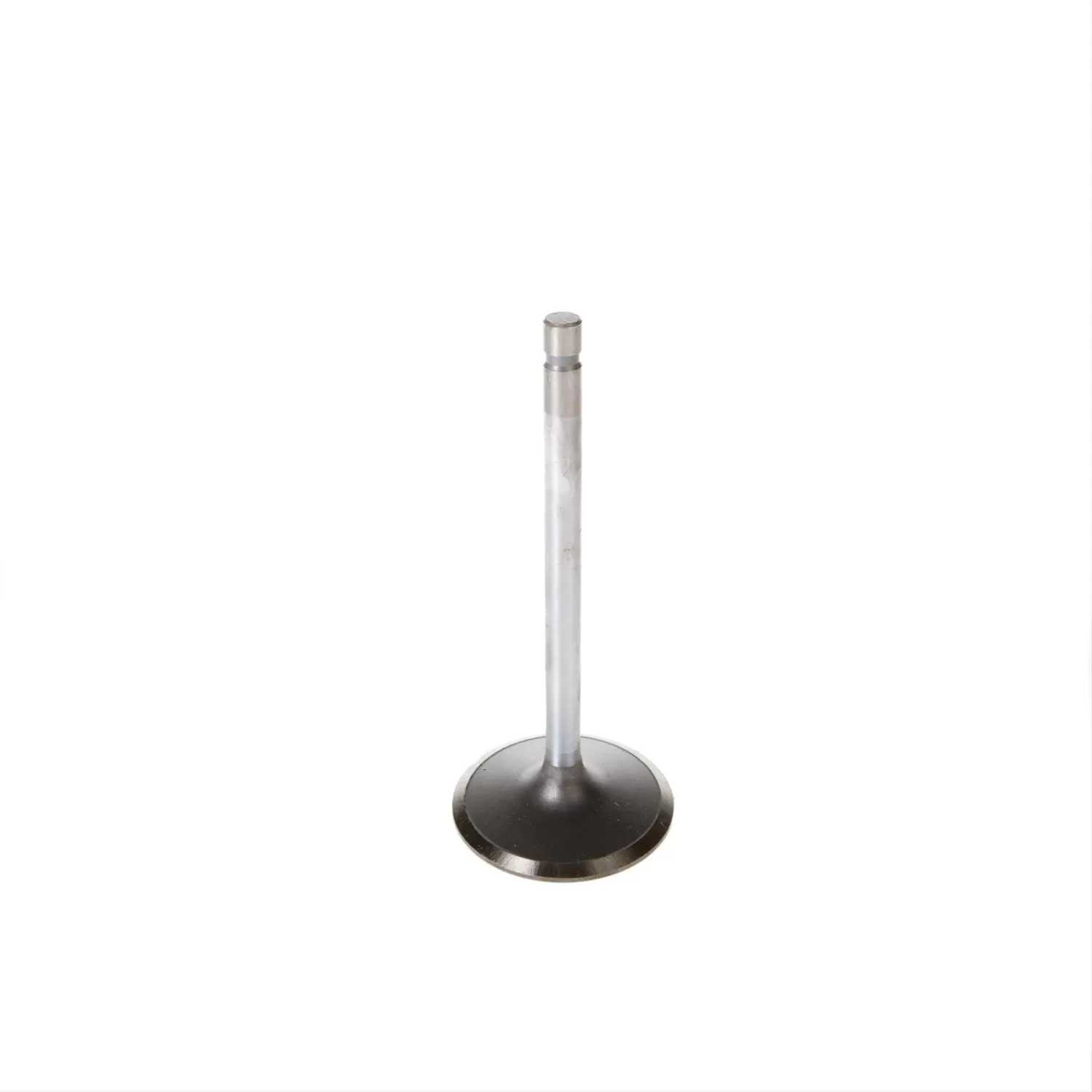 Melling Stock Replacement Intake Valve - V1166