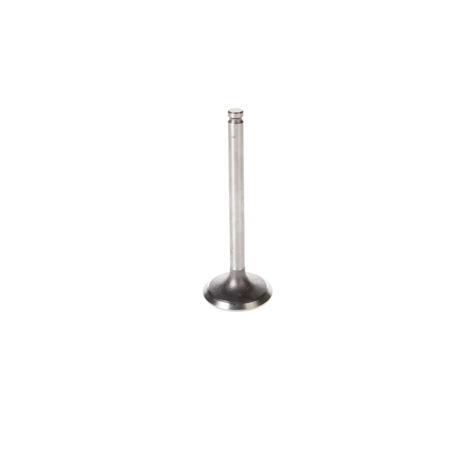 Melling Stock Replacement Intake Valve - V5127