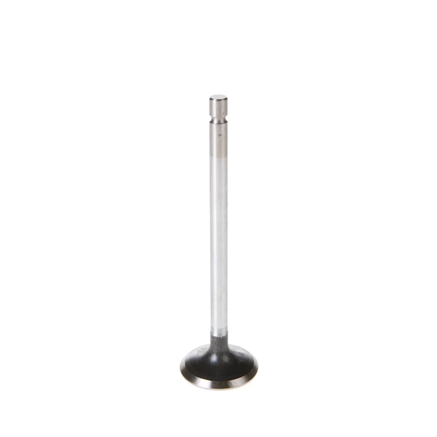 Melling Stock Replacement Intake Valve - V5162