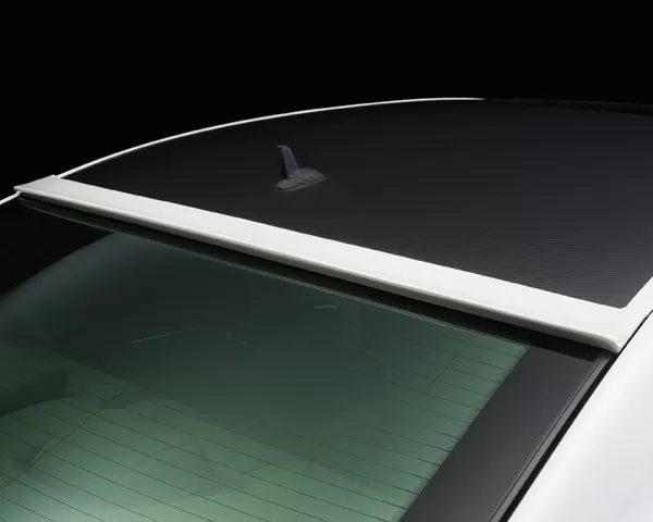 Wald International Black Bison Roof Wing Mercedes-Benz S-Class 10-12 - W216.RW.07