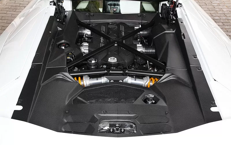 Lamborghini Aventador Carbon Fiber Engine Panel - 0R8340046