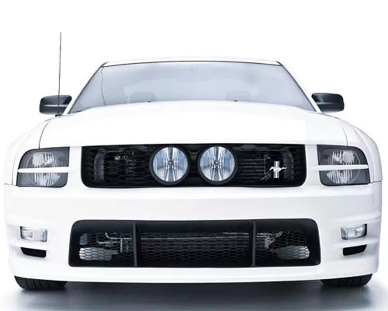 3dCarbon GT E-Style Grille Ford Mustang GT 05-09 - 691039