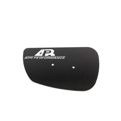 APR Performance Carbon Fiber Old Version Wing GTC-200 Drag Side Plates - AA-100050