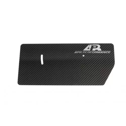 APR Performance Carbon Fiber GTC-250 Single Element Side Plates - AA-100075