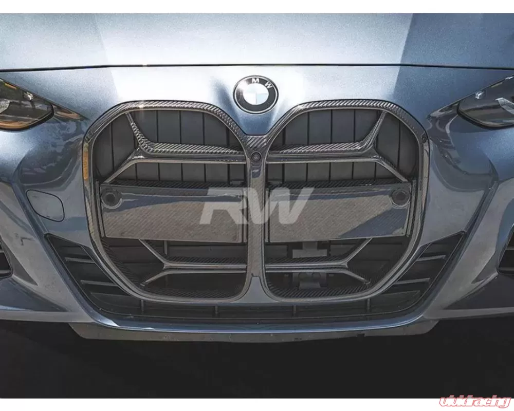 RW Carbon CSL Style Full Carbon Fiber Front Grille BMW G26 430i, M440i  2021-2023